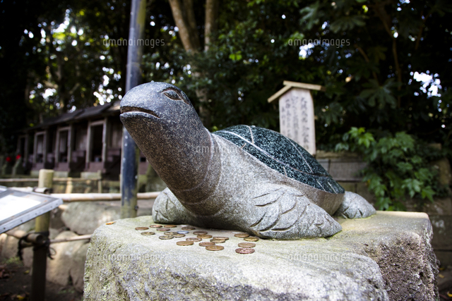 酒列磯前神社の亀石像[10790018443]の写真・イラスト素材｜アマナ
