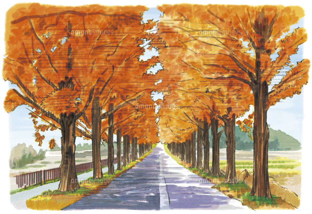 風景画 「コキアの道」油彩画 ピンク系 紅葉 木製フレーム