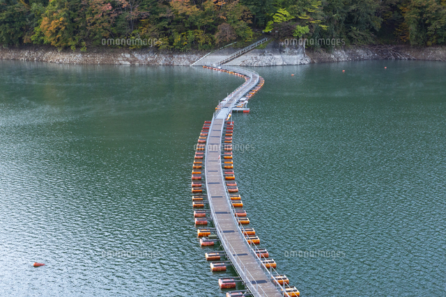 奥多摩湖に浮かぶ麦山浮橋 の写真素材 イラスト素材 アマナイメージズ