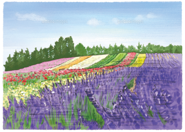 色鮮やかな風景画 000015 Amazon.co.jp: 黒木啓 奥入瀬1 F6号 受注制作 油彩画 油絵 風景