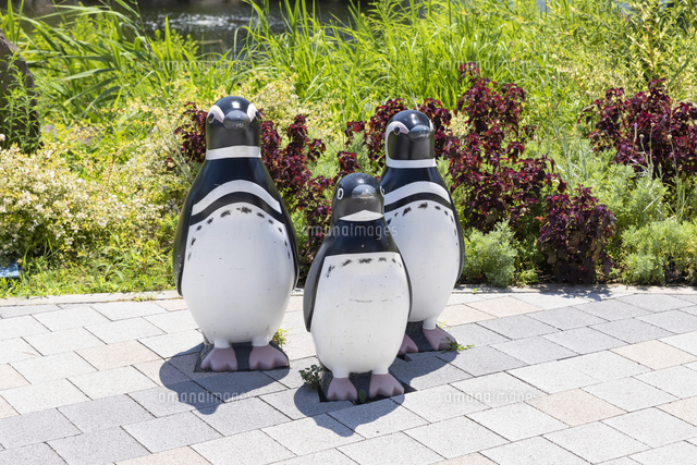 貴重1品もの木彫ペンギンの置物大小2個セット