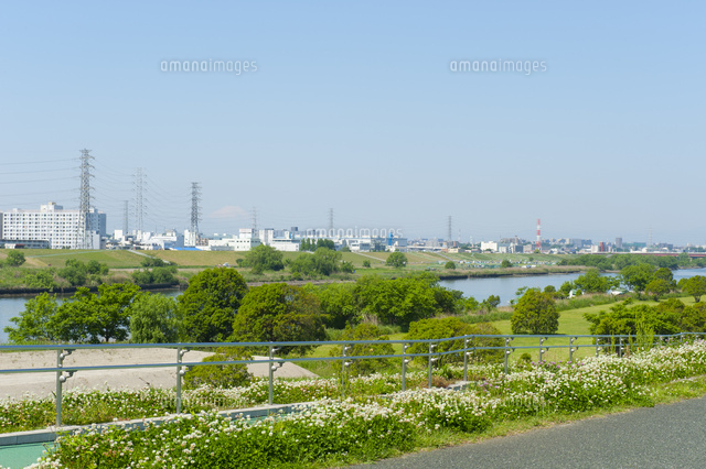 荒川土手 戸田公園付近の荒川土手[10813000141]の写真・イラスト素材｜アマナ