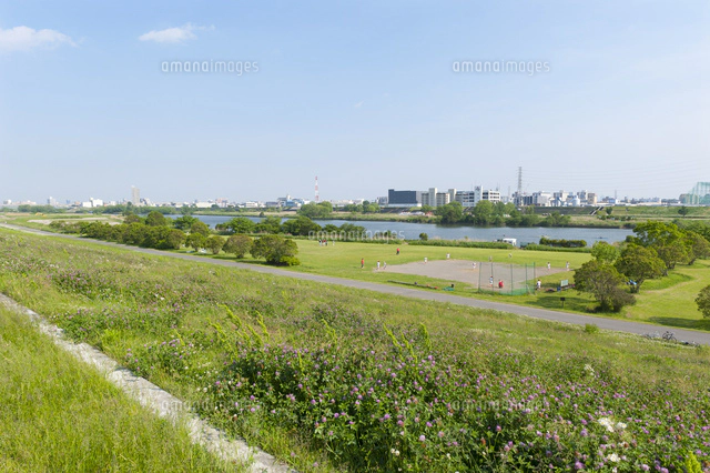 戸田公園付近の荒川土手[10813000141]の写真・イラスト素材｜アマナ