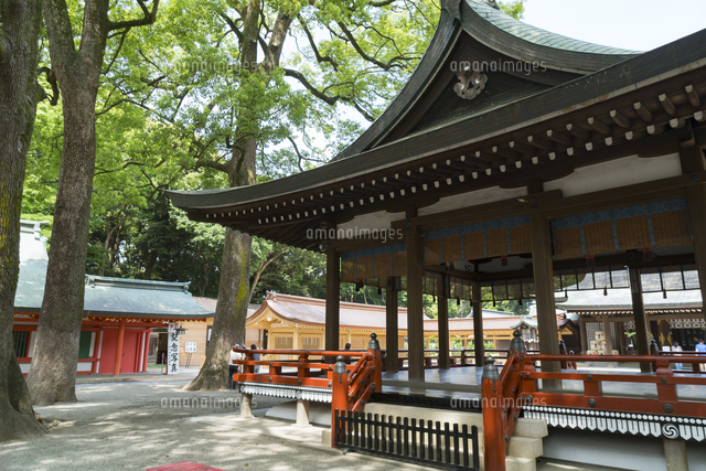 大宮氷川神社の風景 の写真素材 イラスト素材 アマナイメージズ