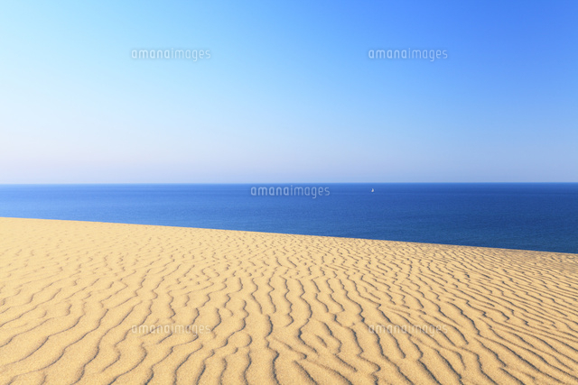 砂丘より望む青い海に白いヨット の写真素材 イラスト素材 アマナイメージズ