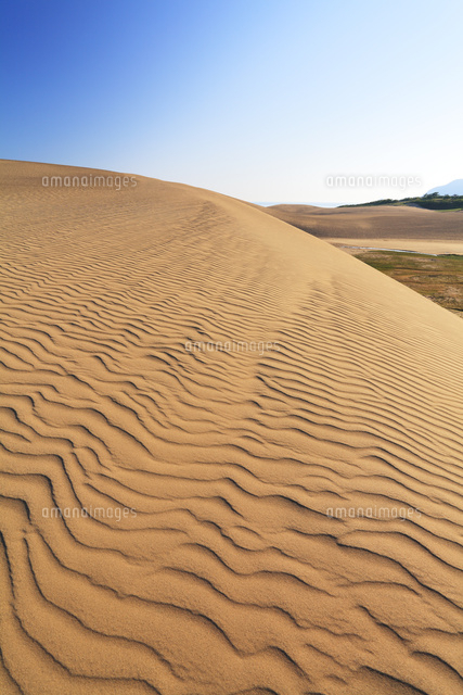 鳥取砂丘と空 の写真素材 イラスト素材 アマナイメージズ