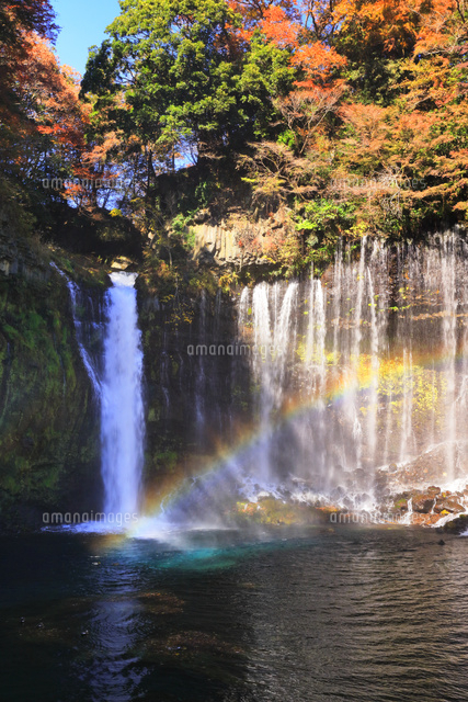 紅葉と白糸の滝に虹 の写真素材 イラスト素材 アマナイメージズ