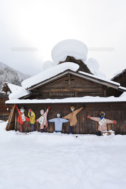 冬の白川郷 合掌造り家屋に軒下のかかし達 の写真素材 イラスト素材 アマナイメージズ