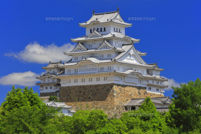 姫路城に緑の木立 の写真素材 イラスト素材 アマナイメージズ