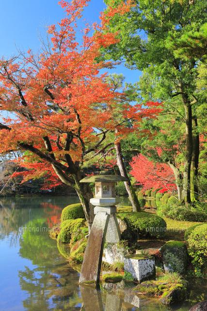 秋の兼六園・ことじ灯籠に紅葉[10816002168]の写真・イラスト素材 