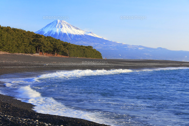 布志名焼 富士山 三保松原 焼物 和食器 布志名焼 湯町窯 カップ＆ソーサー 150cc 鶉紋飴釉 二彩