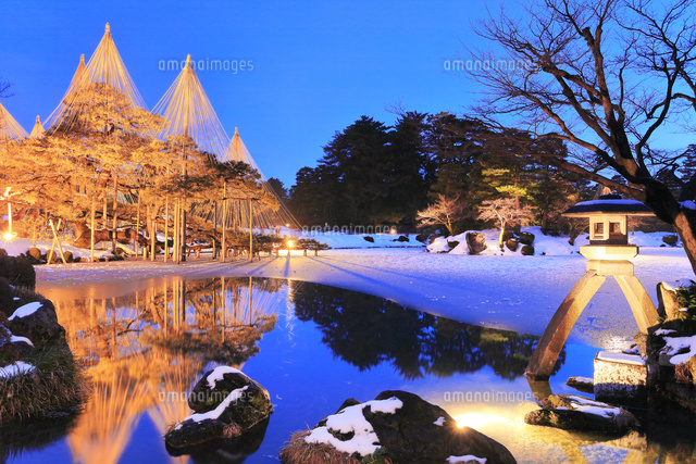 冬の北陸金沢 兼六園ことじ灯籠と唐崎松ライトアップ 冬の段 の写真素材 イラスト素材 アマナイメージズ 冬の北陸金沢 兼六園ことじ灯籠と唐崎松ライトアップ 冬の段 の写真素材 イラスト素材 アマナイメージズ