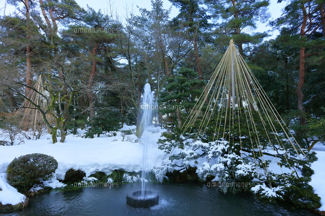 冬の北陸金沢 兼六園日本最古の噴水にカモと雪吊り[10816002462]の写真