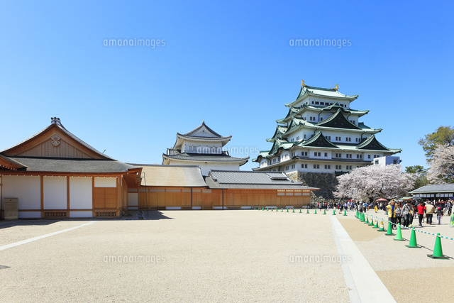 春の名古屋城 の写真素材 イラスト素材 アマナイメージズ 春の名古屋城 の写真素材 イラスト素材 アマナイメージズ