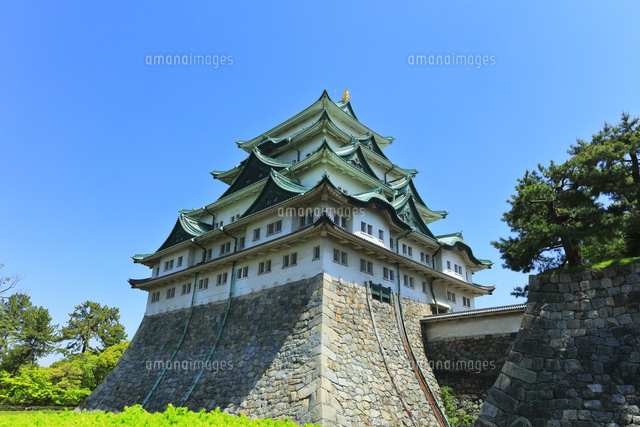 名古屋城天守閣 の写真素材 イラスト素材 アマナイメージズ