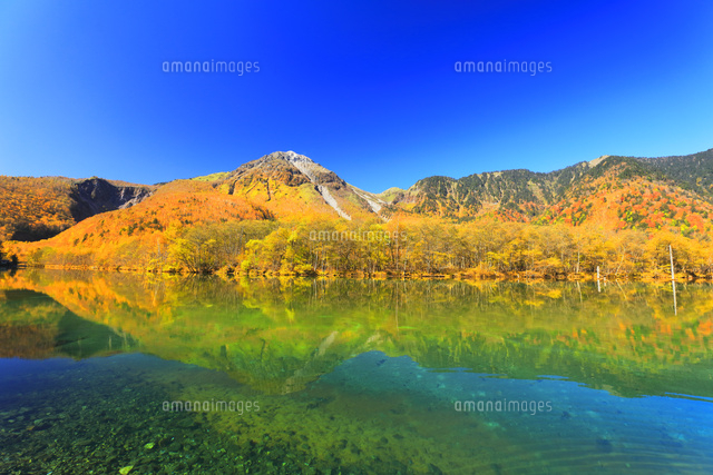 秋の上高地 快晴の大正池と焼岳に紅葉[10816002990]の写真・イラスト