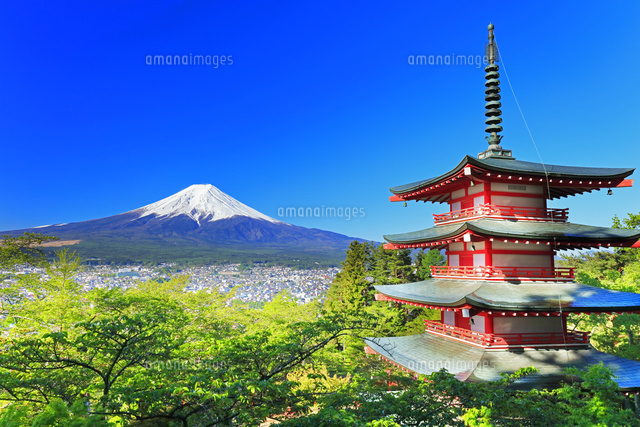 新倉山浅間公園より五重塔に新緑と雪の富士山[10816003607]の
