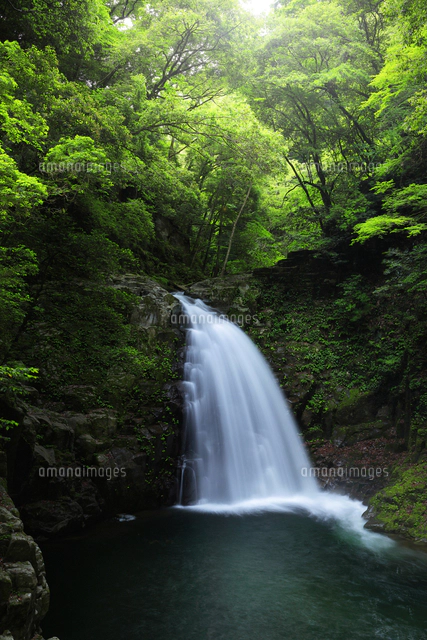 赤目四十八滝 不動滝と緑の森[10816003881]の写真・イラスト素材