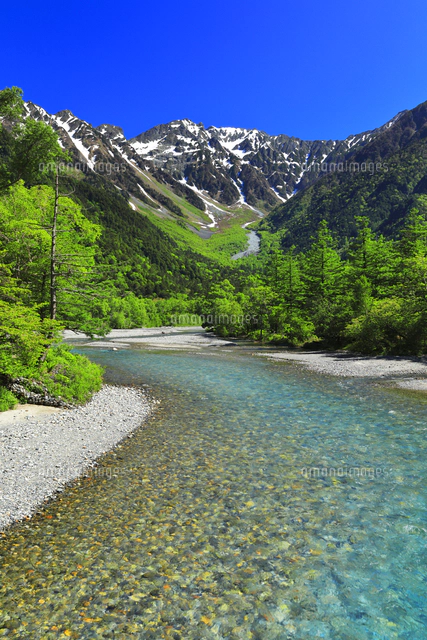 快晴の上高地 河童橋より梓川の清流と残雪の穂高連峰[10816003976]の