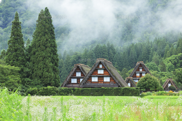世界文化遺産 夏の白川郷合掌造り集落 の写真素材 イラスト素材 アマナイメージズ