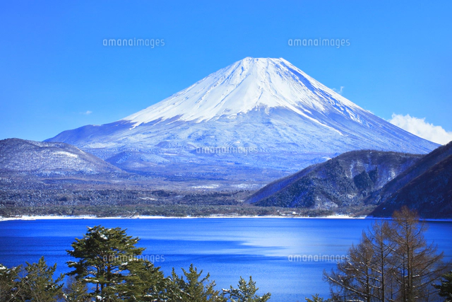 世界遺産 冬の本栖湖より富士山に雪[10816006184]の写真・イラスト素材