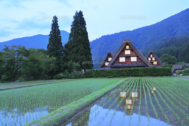 世界遺産 初夏の白川郷[10816007426]の写真・イラスト素材｜アマナ