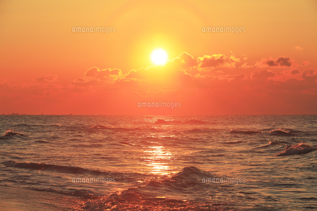 赤い海 | GANREF 旭日静波 赤い太陽と海の風景掛軸 0121o81