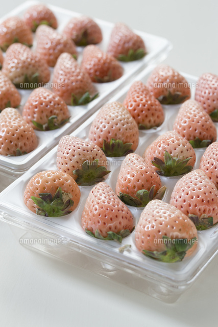 白い苺 の写真素材 イラスト素材 アマナイメージズ