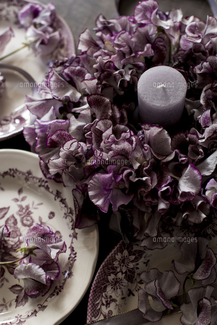 アンティークのお皿とスイートピーのフラワーリース の写真素材 イラスト素材 アマナイメージズ