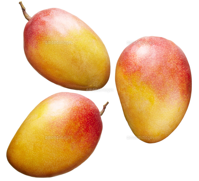 キウイ白バック の写真素材 イラスト素材 アマナイメージズ