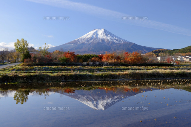 富士吉田市・農村公園より望む初夏の富士山[10828000318]の写真