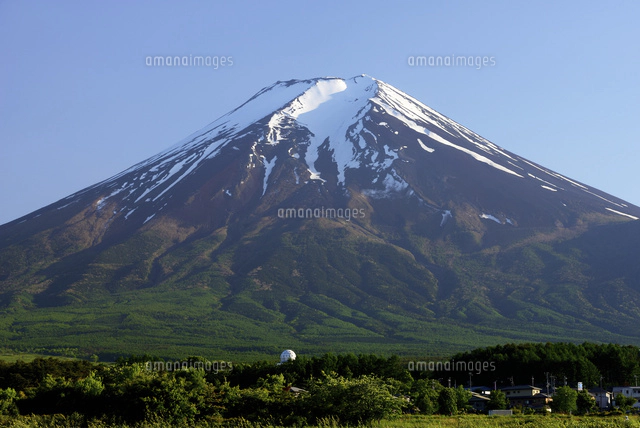 富士吉田市・農村公園より望む初夏の富士山[10828000318]の写真