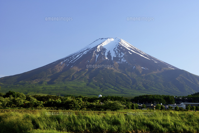 富士吉田市・農村公園より望む初夏の富士山[10828000318]の写真