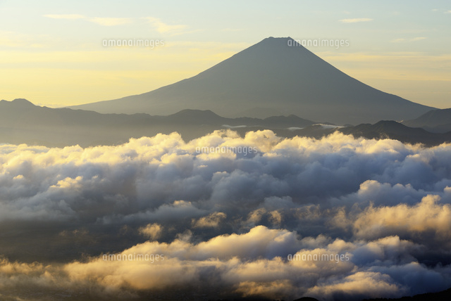 朝日を浴びた雲海に浮かぶ富士山 の写真素材 イラスト素材 アマナイメージズ