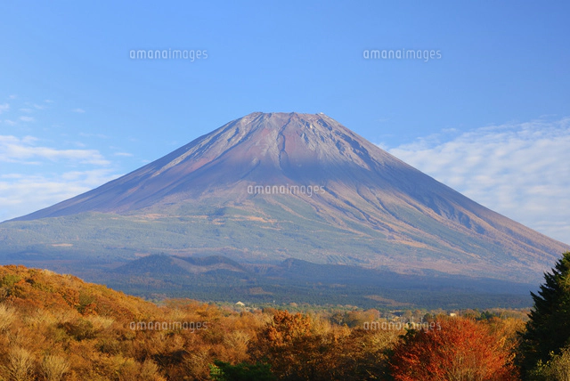 山梨県 秋の富士山と紅葉 富士ヶ嶺高原より[10828000503]の写真