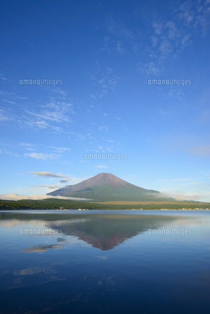 山梨県 山中湖より9月の富士山[10828001195]の写真・イラスト素材