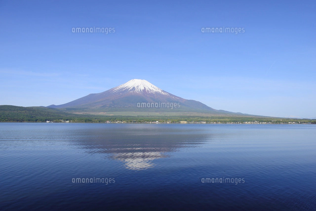 山梨県 山中湖より9月の富士山[10828001195]の写真・イラスト素材