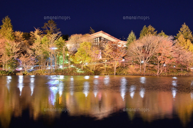 愛知 茶臼山高原紅葉ライトアップ15 の写真素材 イラスト素材 アマナイメージズ