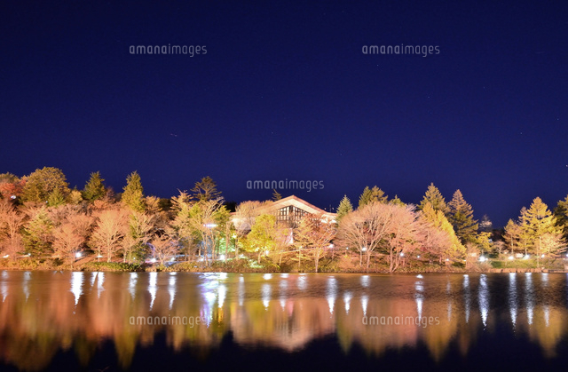 愛知 茶臼山高原紅葉ライトアップ15 の写真素材 イラスト素材 アマナイメージズ