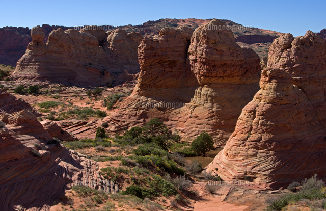 巨大な赤い砂岩性堆積岩のビュートが林立する荒野 の写真素材 イラスト素材 アマナイメージズ