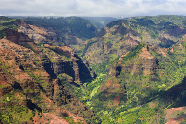 ハワイ カウアイ島 ワイメアキャニオン の写真素材 イラスト素材 アマナイメージズ