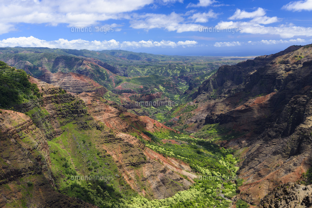 ハワイ カウアイ島 ワイメアキャニオン の写真素材 イラスト素材 アマナイメージズ