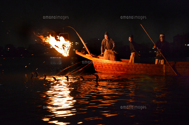 長良川鵜飼い の写真素材 イラスト素材 アマナイメージズ