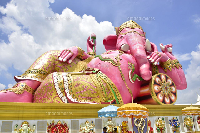 ピンクガネーシャ[10834000304]の写真・イラスト素材｜アマナイメージズ