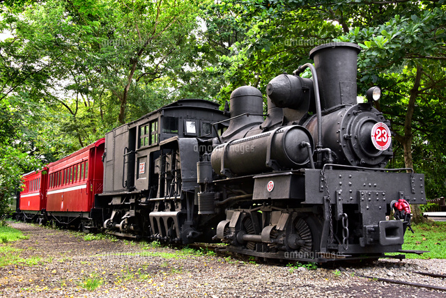 レトロな阿里山森林鉄道保存車両[10834000945]の写真・イラスト素材