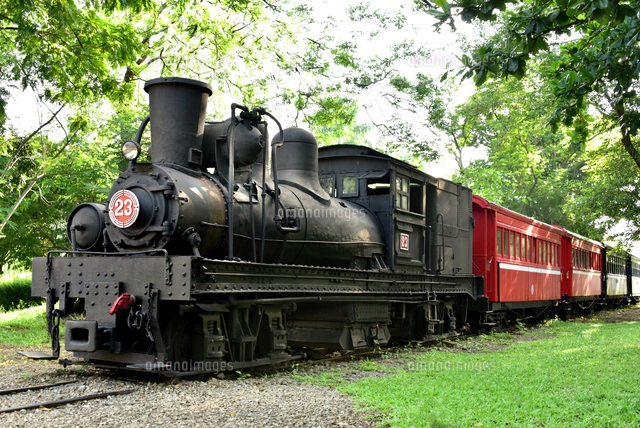 レトロな阿里山森林鉄道保存車両[10834000945]の写真・イラスト素材