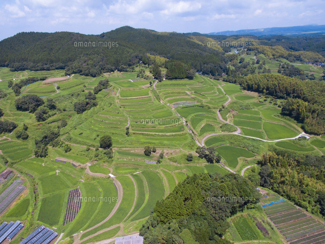 熊本県 峰棚田 棚田百選 の写真素材 イラスト素材 アマナイメージズ