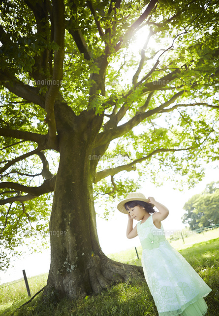 木の下で帽子をおさえる女の子 の写真素材 イラスト素材 アマナイメージズ