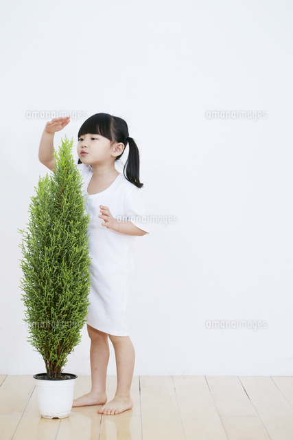 背比べする女の子 の写真素材 イラスト素材 アマナイメージズ