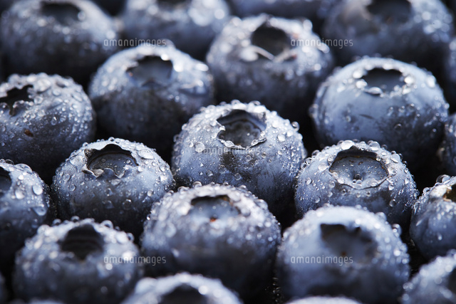 ブルーベリー の写真素材 イラスト素材 アマナイメージズ